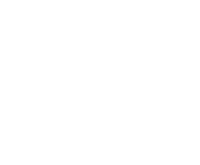 Evolution games at Royal Wins Casino